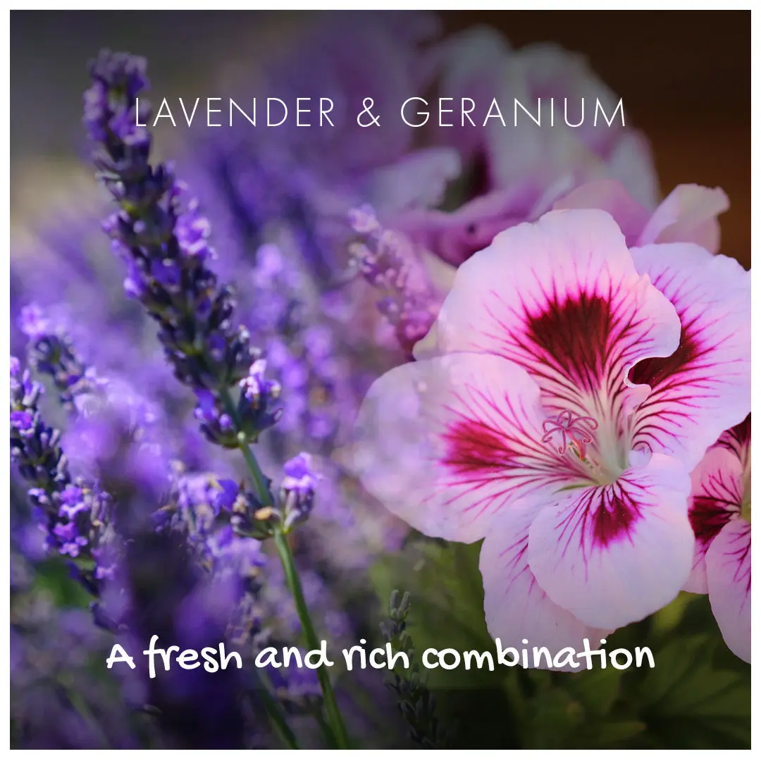Shampoo Bar - Lavender & Geranium - Image 3