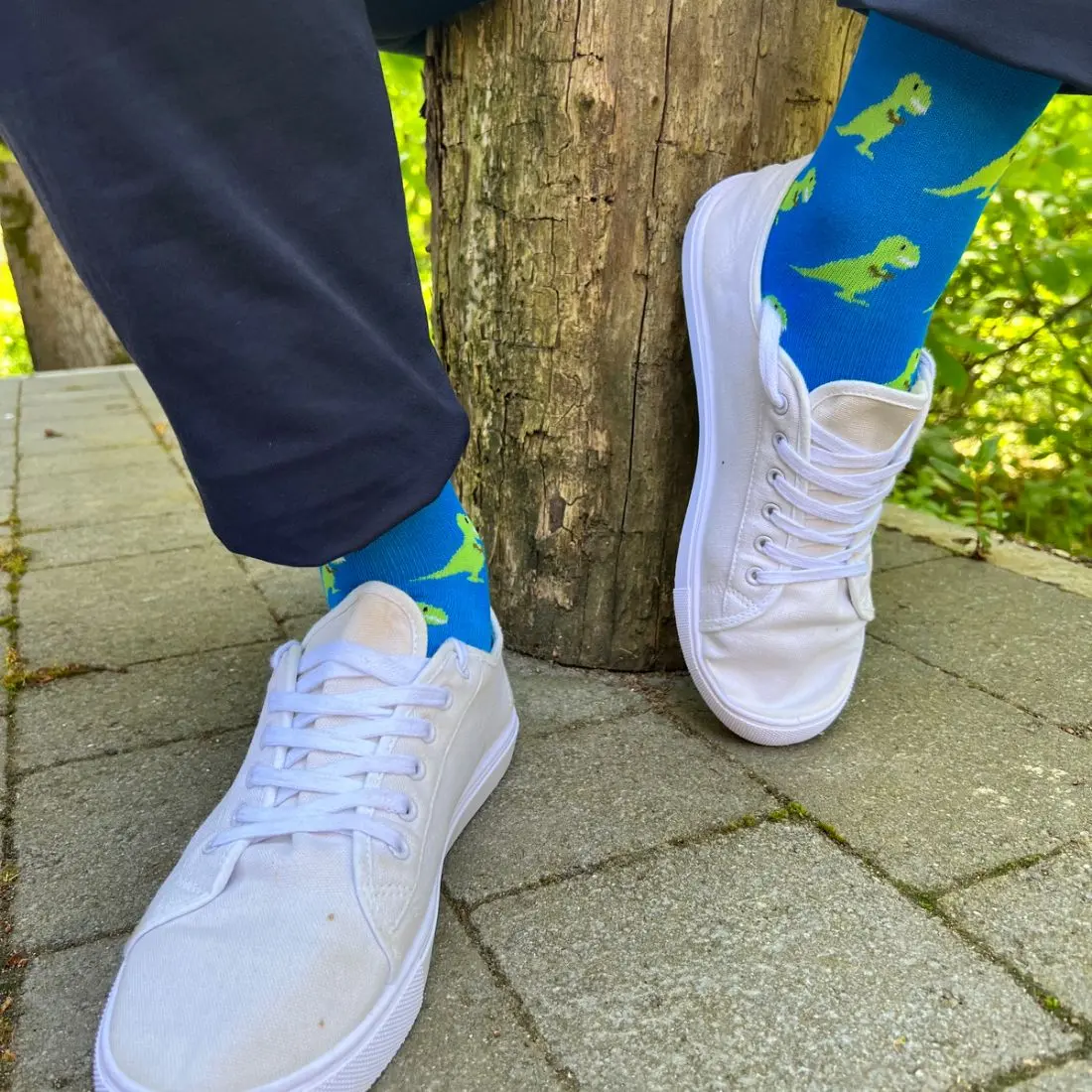 T-Rex Bamboo Socks - Image 3