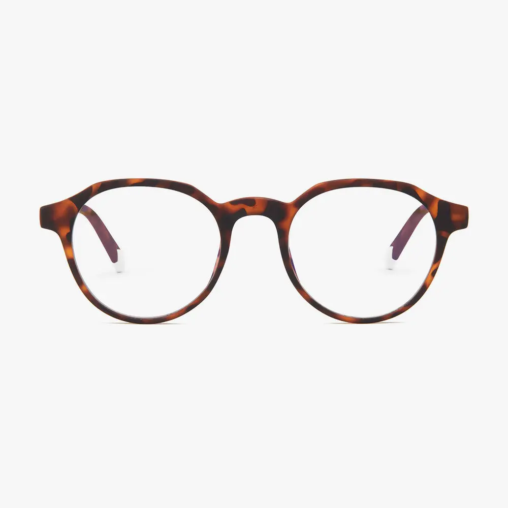 Tortoise Chamberí Glasses - Image 3
