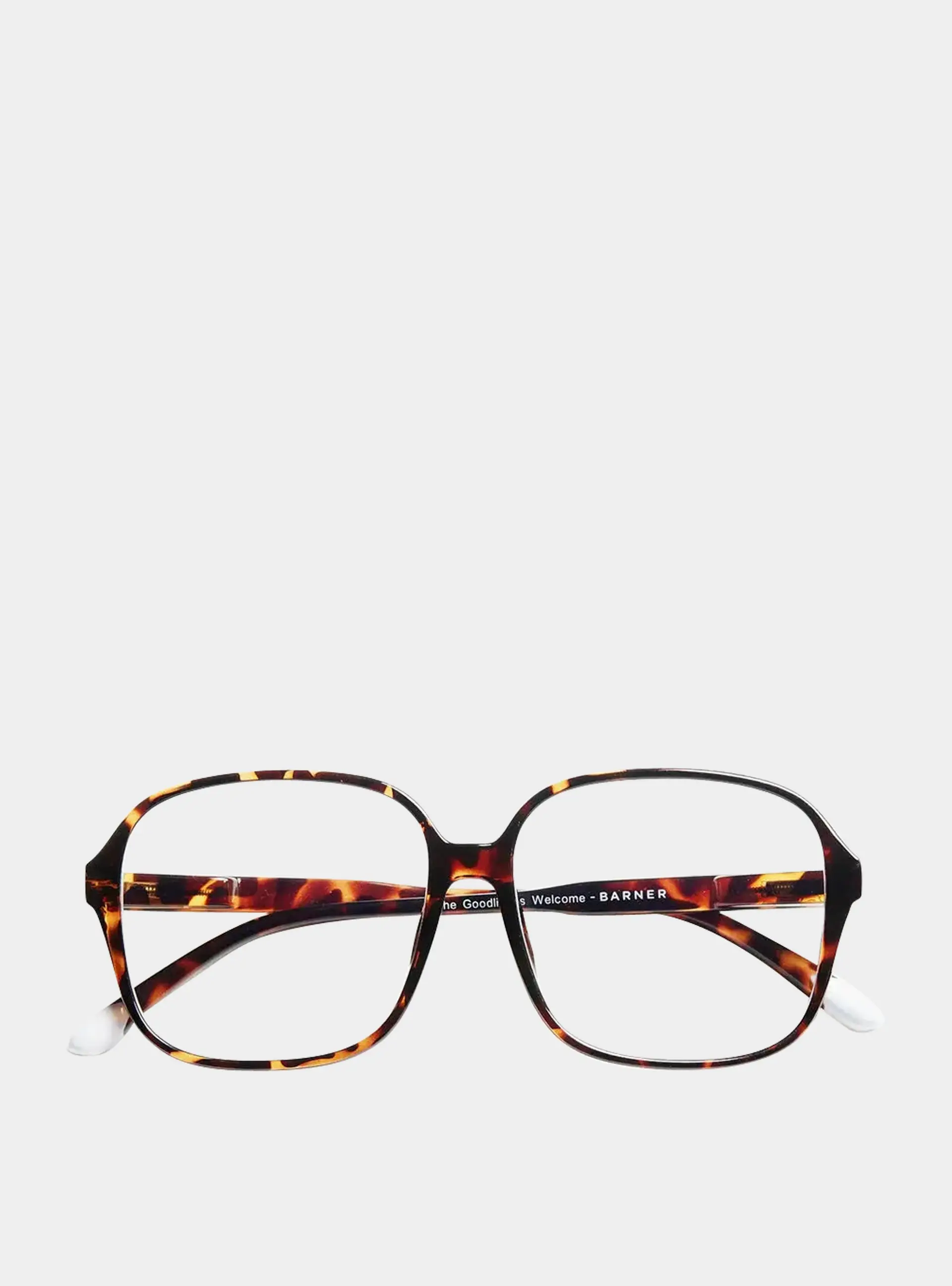 Tortoise Pascal Glossy Glasses