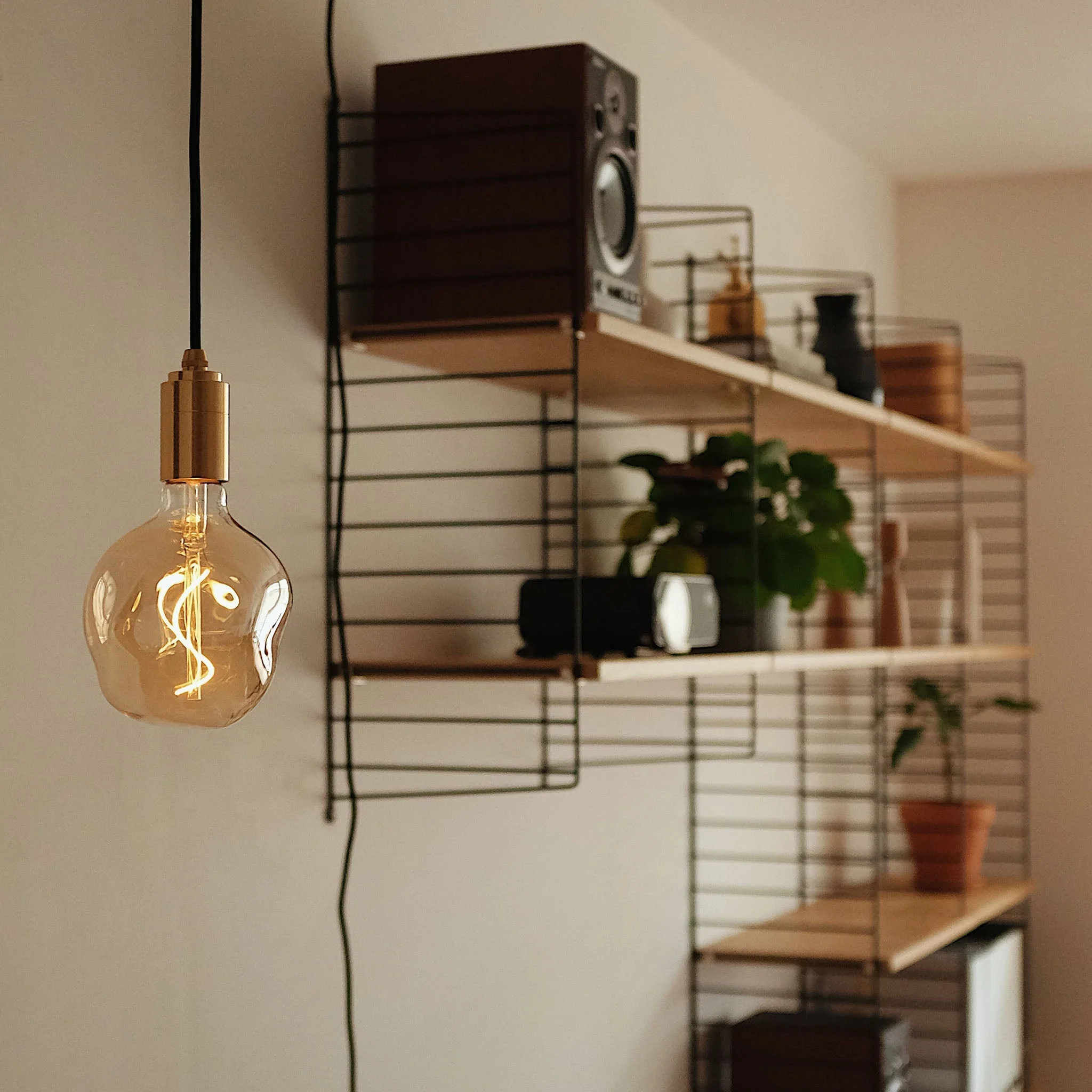 Voronoi I Plug-In Pendant in Brass - Image 2