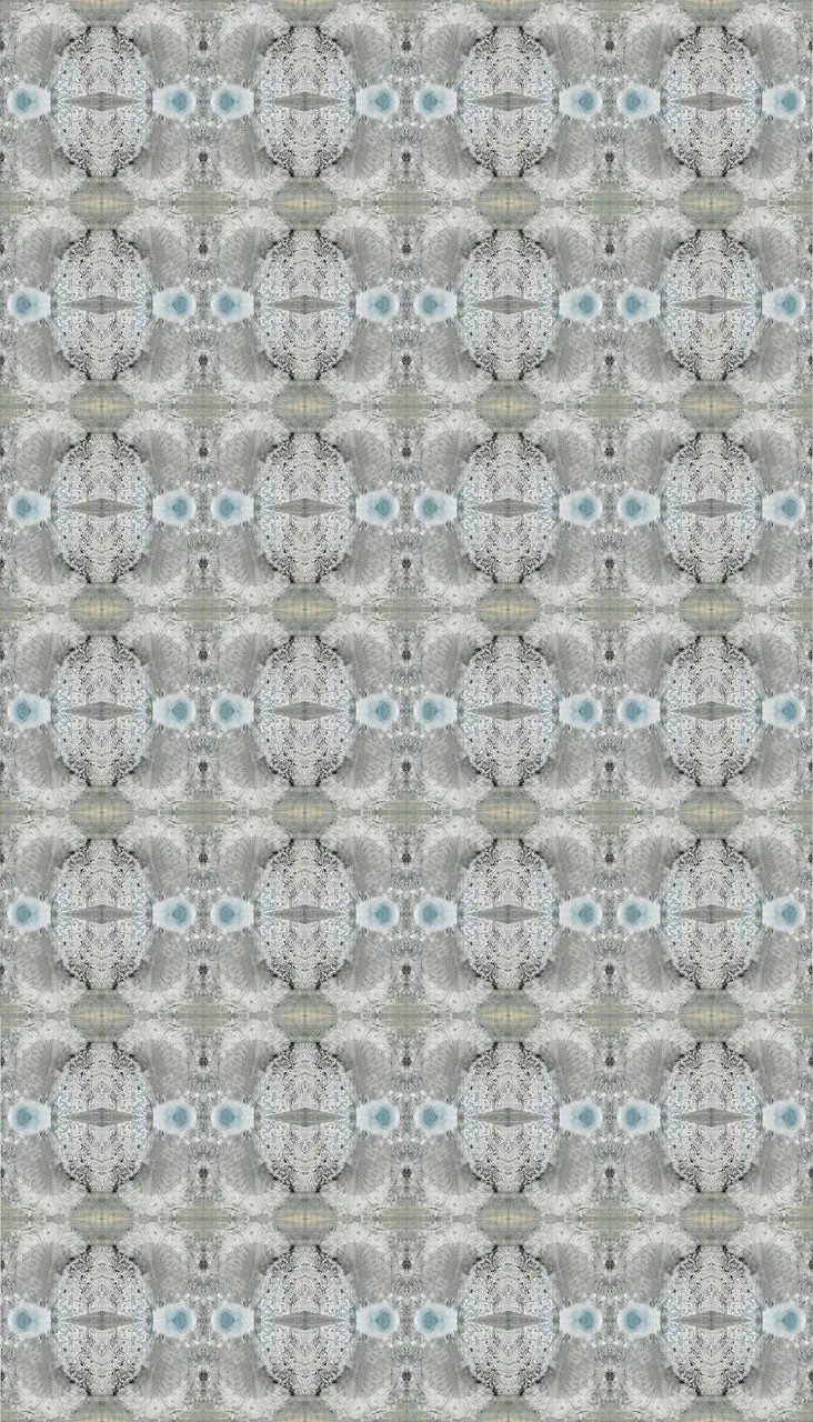 Wallpaper White Veil - £37.50 per sq metre - Image 4