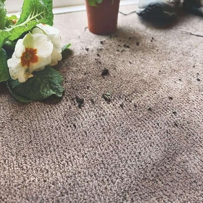 Washable Soft Pet Mat and Runner - Image 10