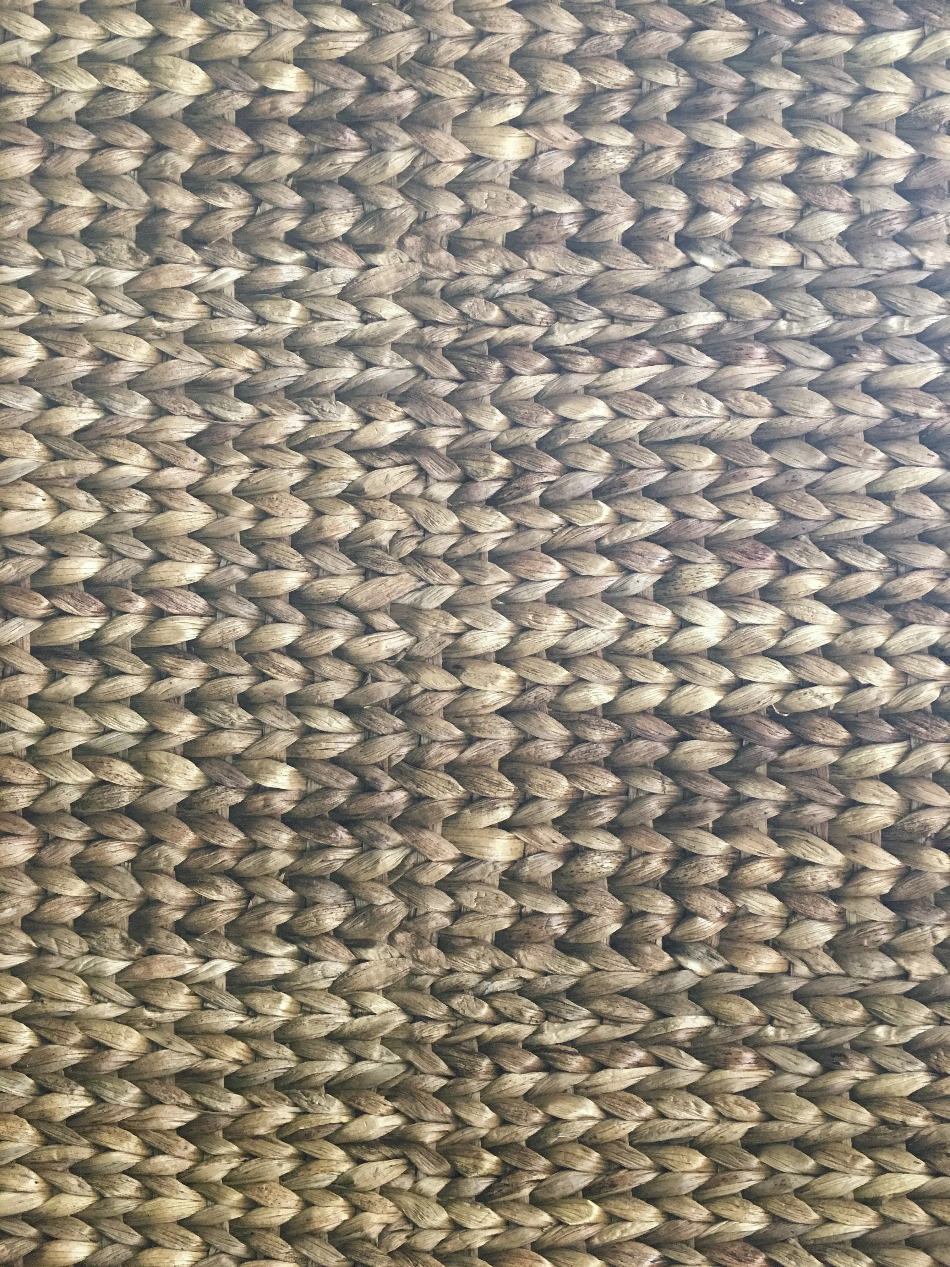 Water Hyacinth Horizontal Wallpaper - Image 7