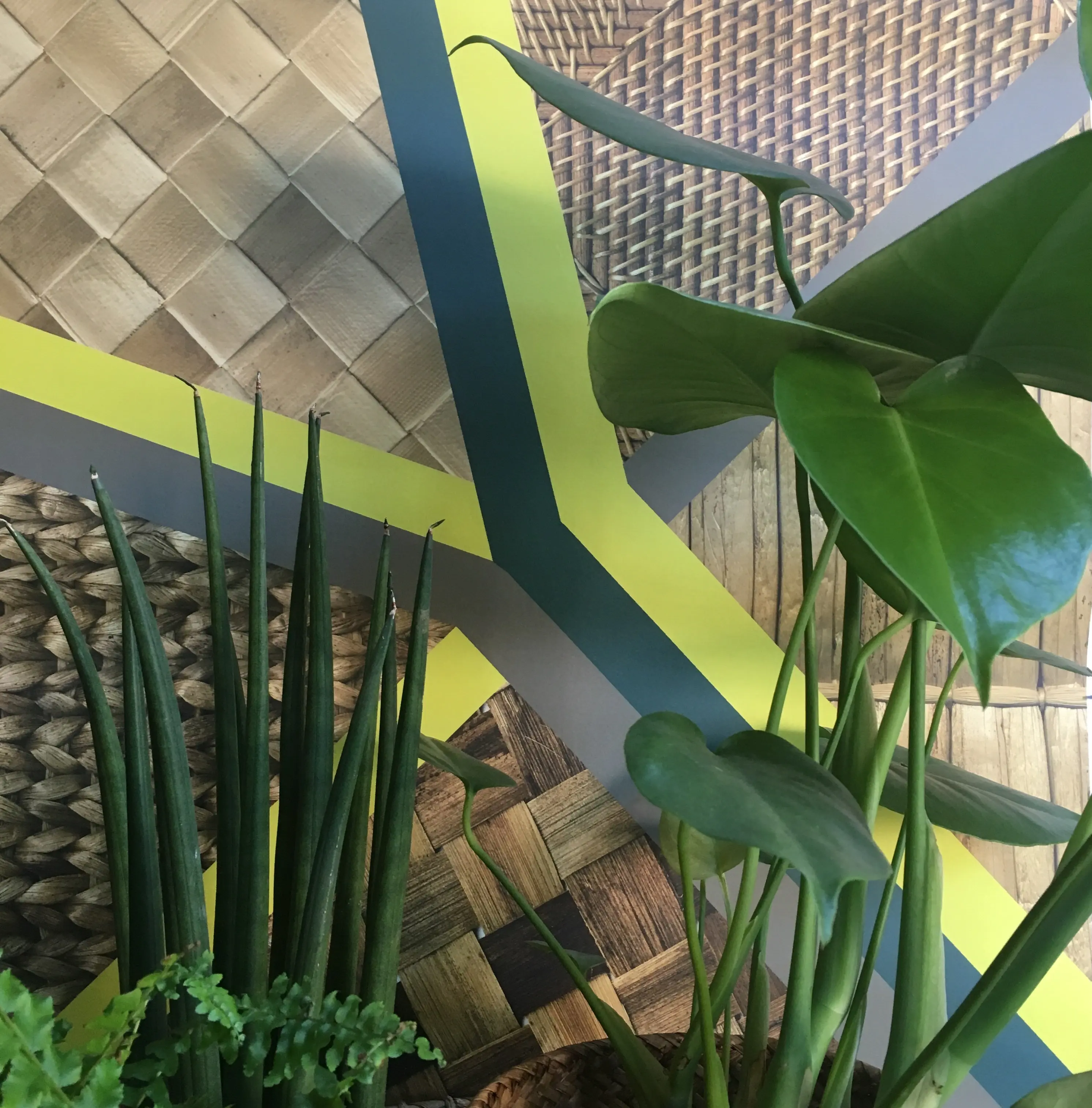 Wicker Geometric Mural Wallpaper - Image 5