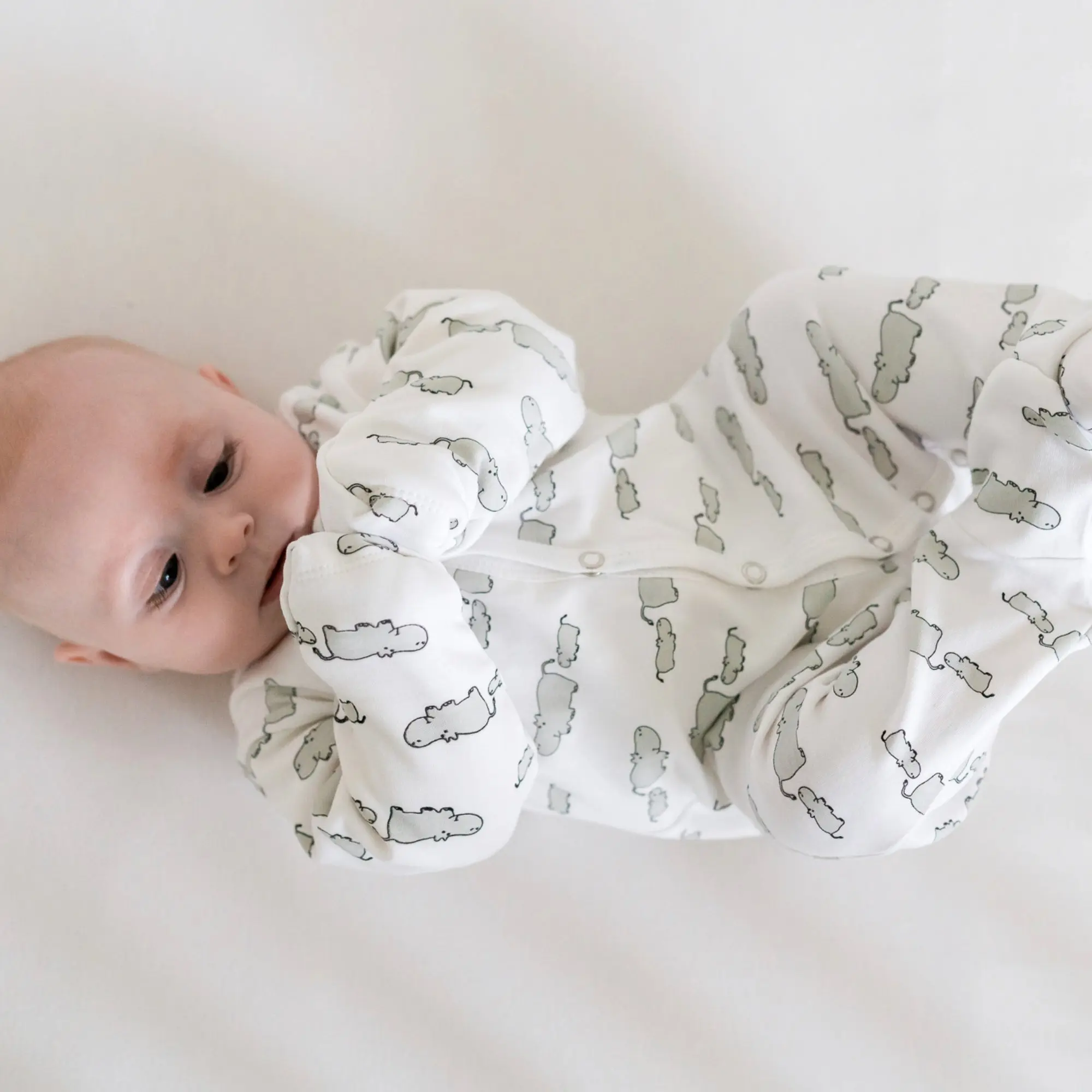 Winter Sleepsuit With Padded Sleeves (2pk) - Hippo - Image 10