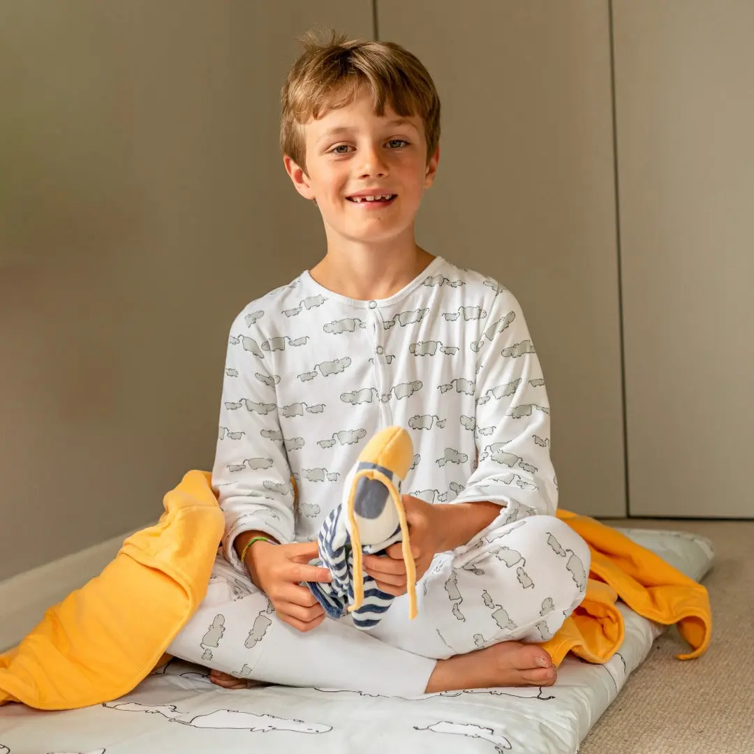 Winter Sleepsuit With Padded Sleeves (2pk) - Hippo - Image 15