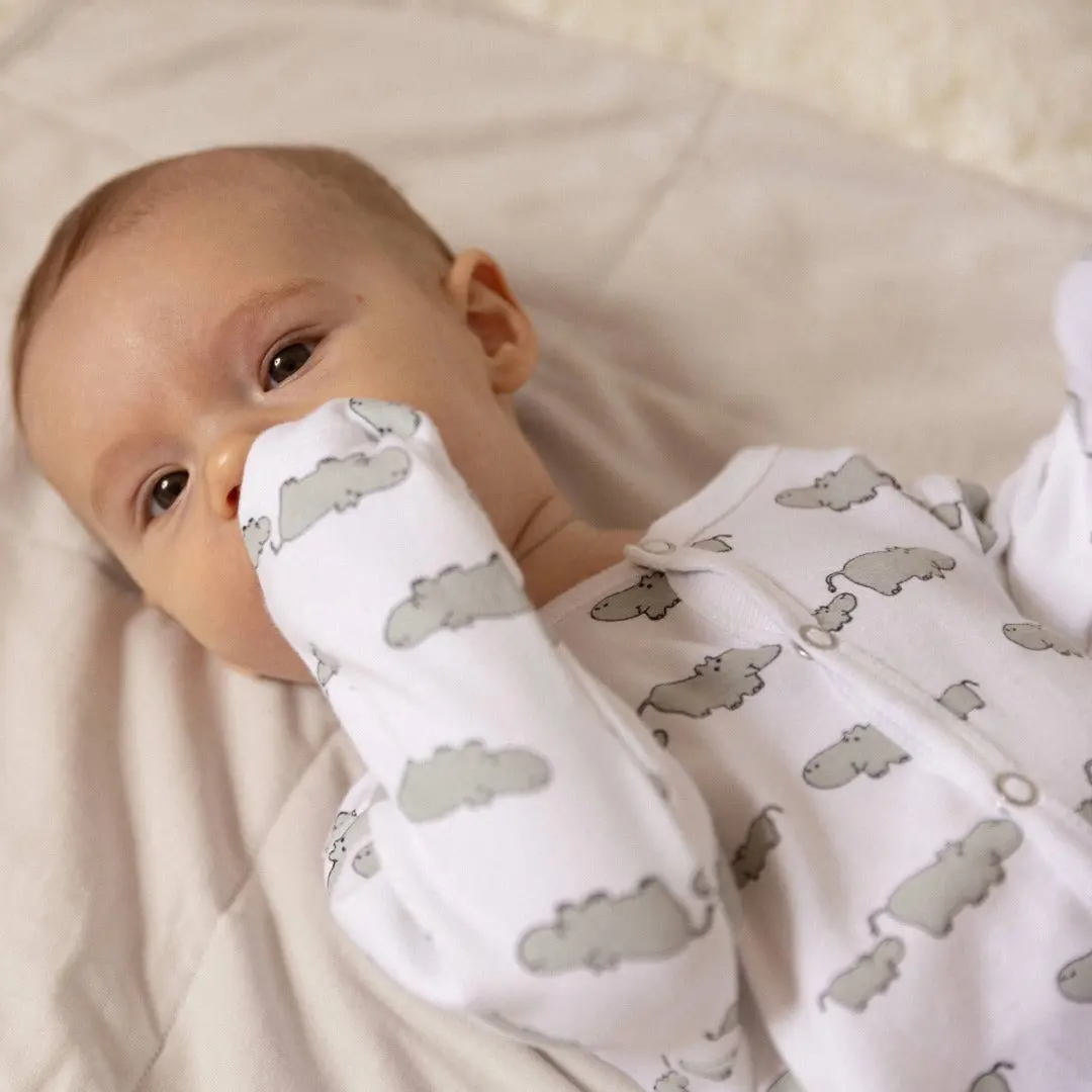 Winter Sleepsuit With Padded Sleeves (2pk) - Hippo - Image 16