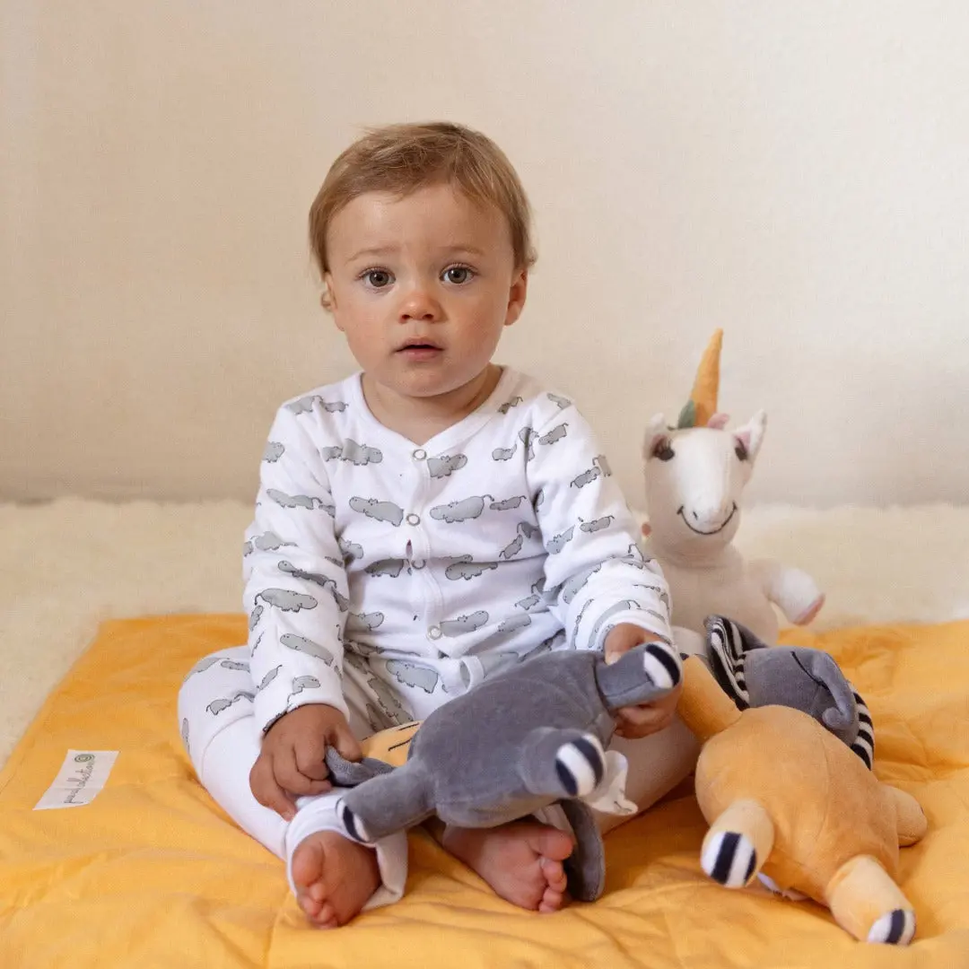 Winter Sleepsuit With Padded Sleeves (2pk) - Hippo - Image 17