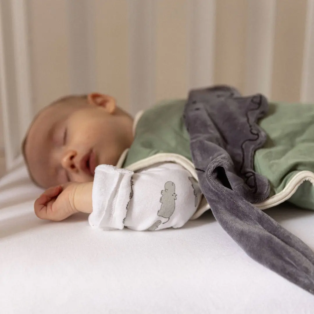 Winter Sleepsuit With Padded Sleeves (2pk) - Hippo - Image 20