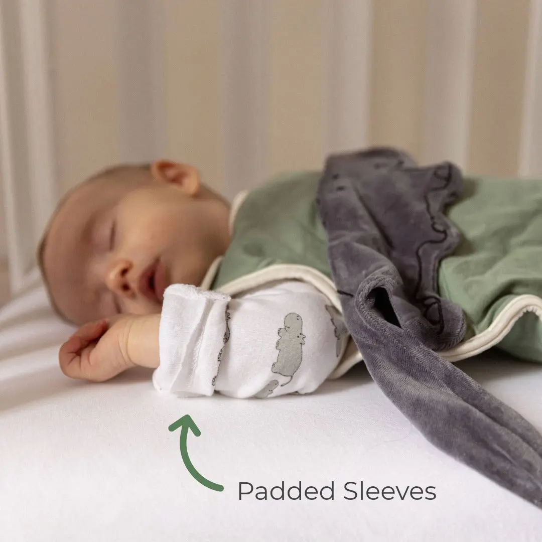 Winter Sleepsuit With Padded Sleeves (2pk) - Hippo - Image 23