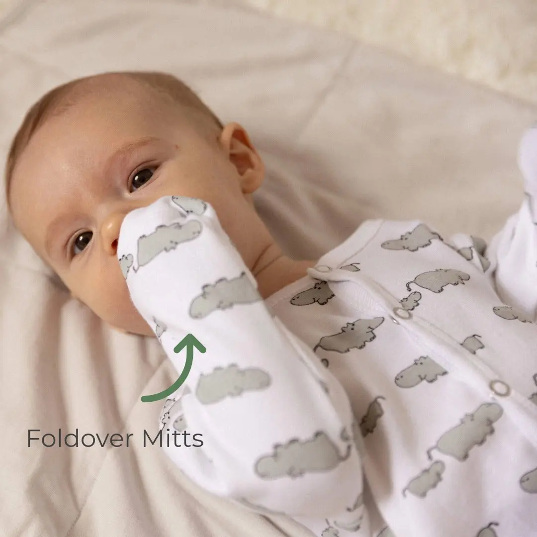 Winter Sleepsuit With Padded Sleeves (2pk) - Hippo - Image 25