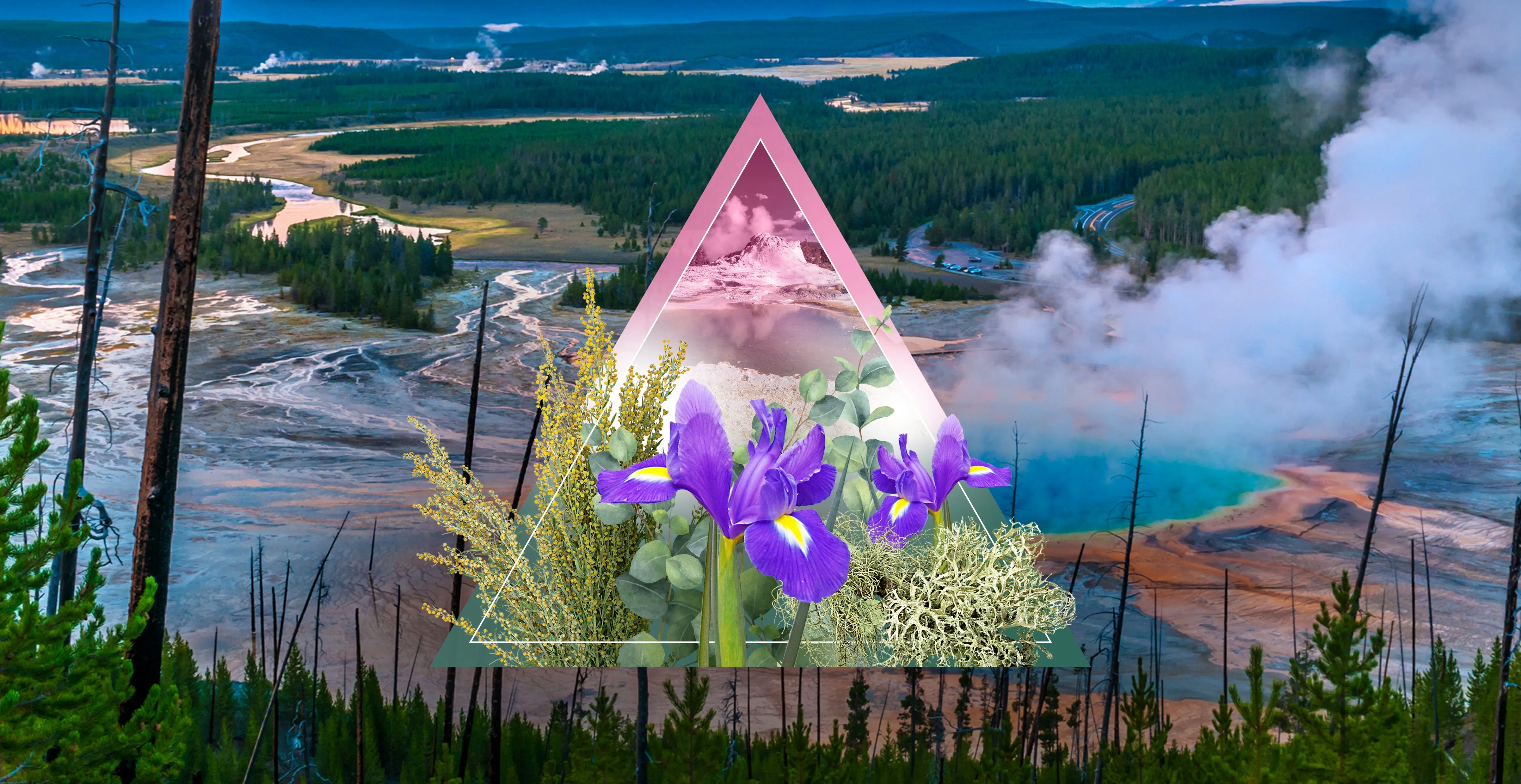 Yellowstone Fragrance Oil - Image 3