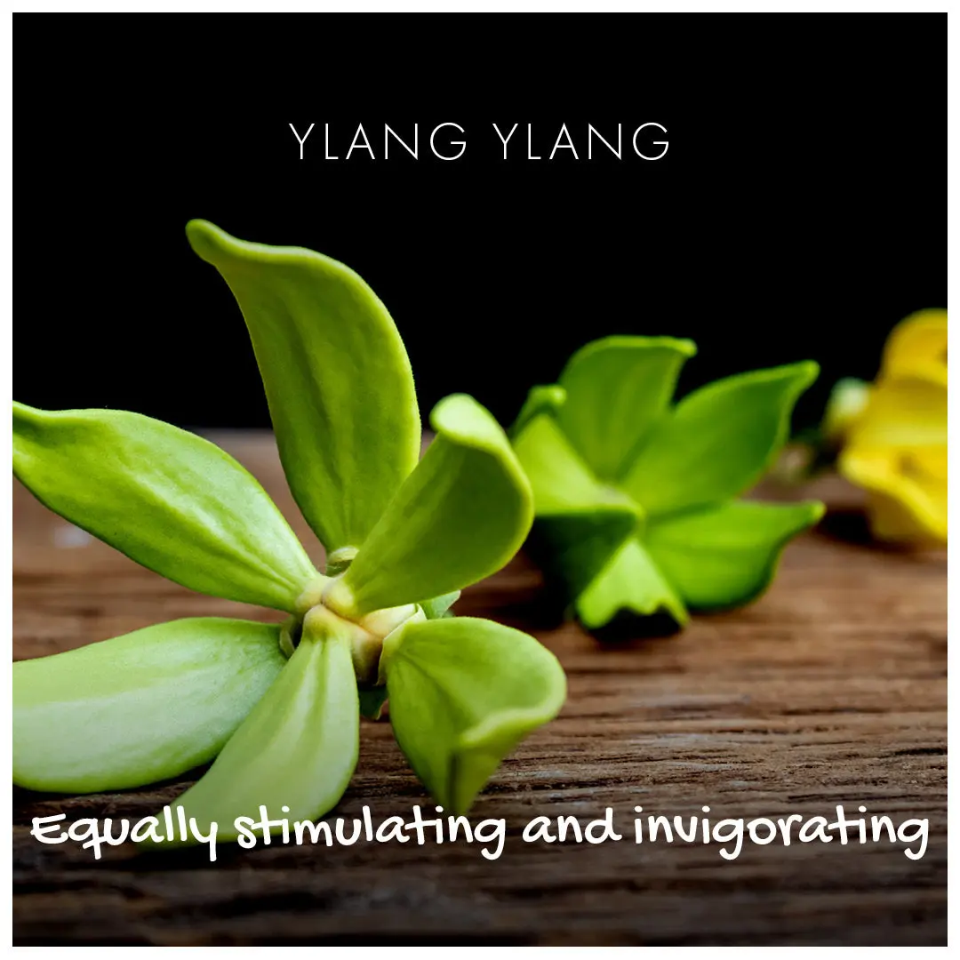 Ylang Ylang Natural Soap - Image 3