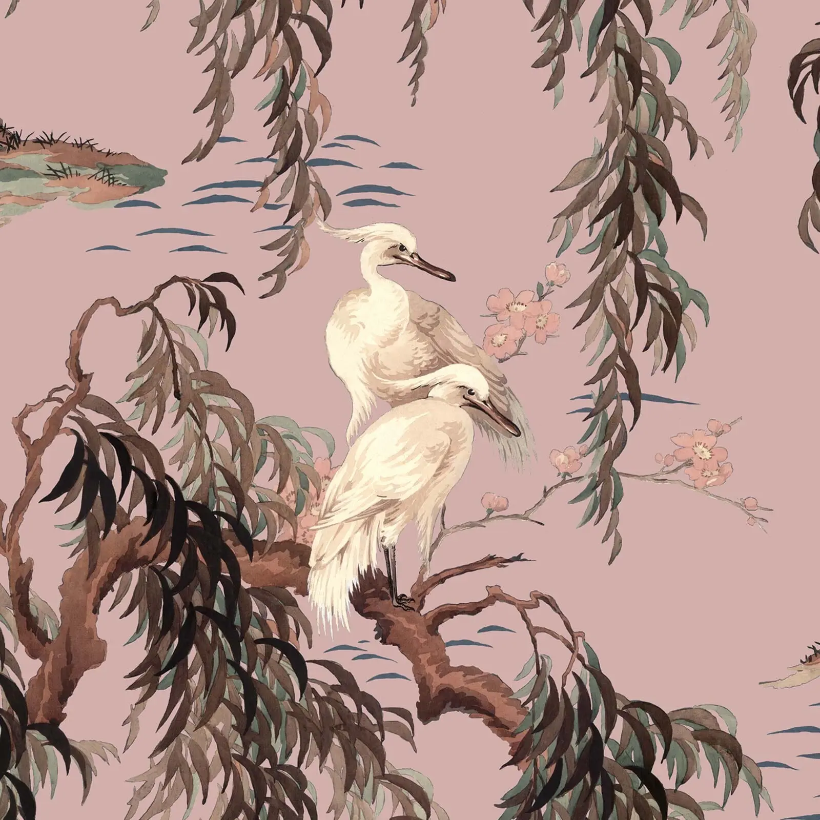 ZEUS Wallpaper - Blush